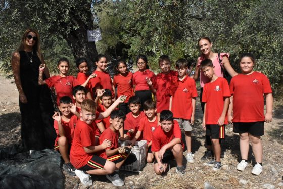 Öğrencilerden zeytin hasadına destek